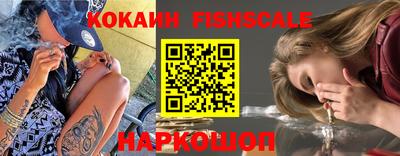 крисы Кунгур
