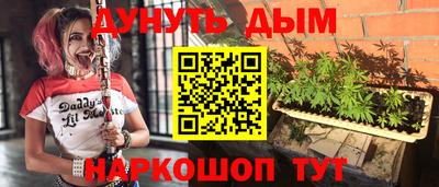 крисы Кунгур